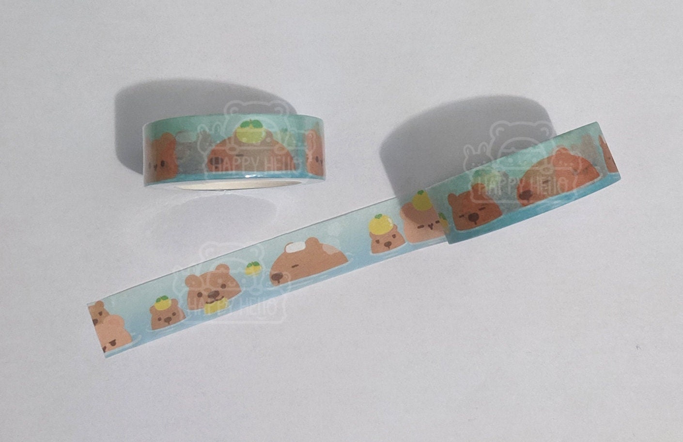 HOSHI AT THE HOT SPRINGS WASHI TAPE
